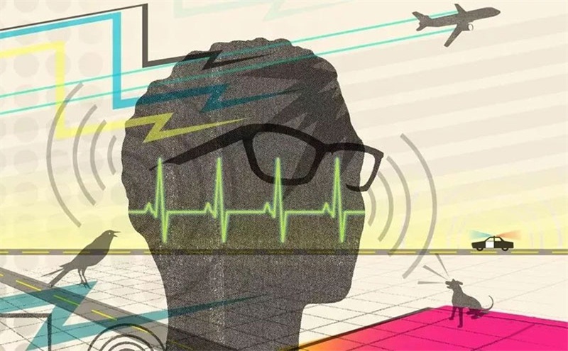 悲劇，聲學(xué)處理不好，噪音引發(fā)血案