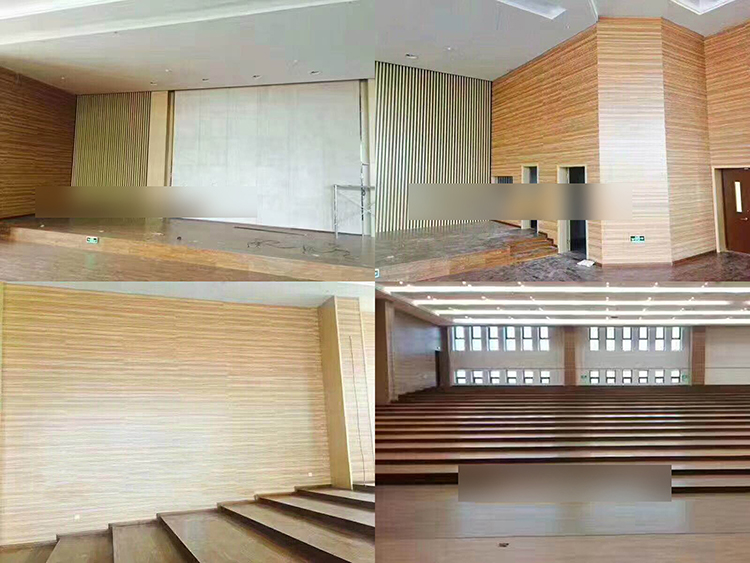 浙江杭州學院報告廳吸音工程